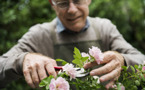 giardinaggio